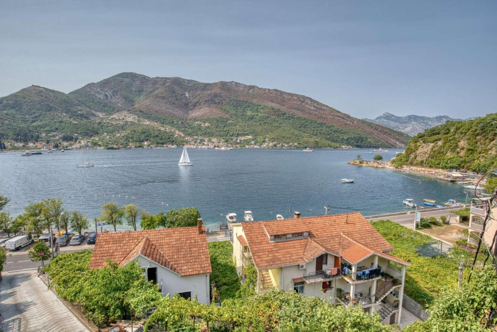 Nikic -tivat *